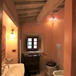 Antico Gelso * Todi
