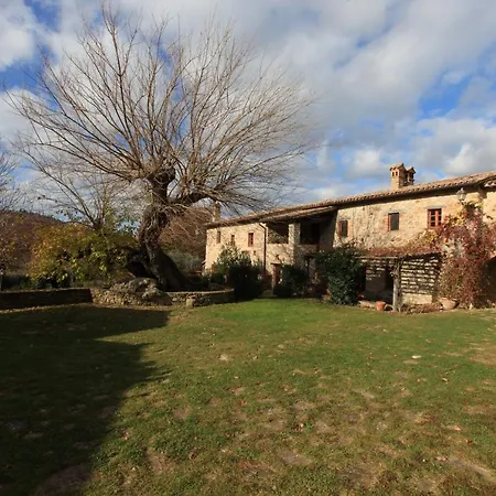 Antico Gelso * Todi